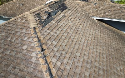 Top Nine Warning Signs Your Roof Needs Replacing
