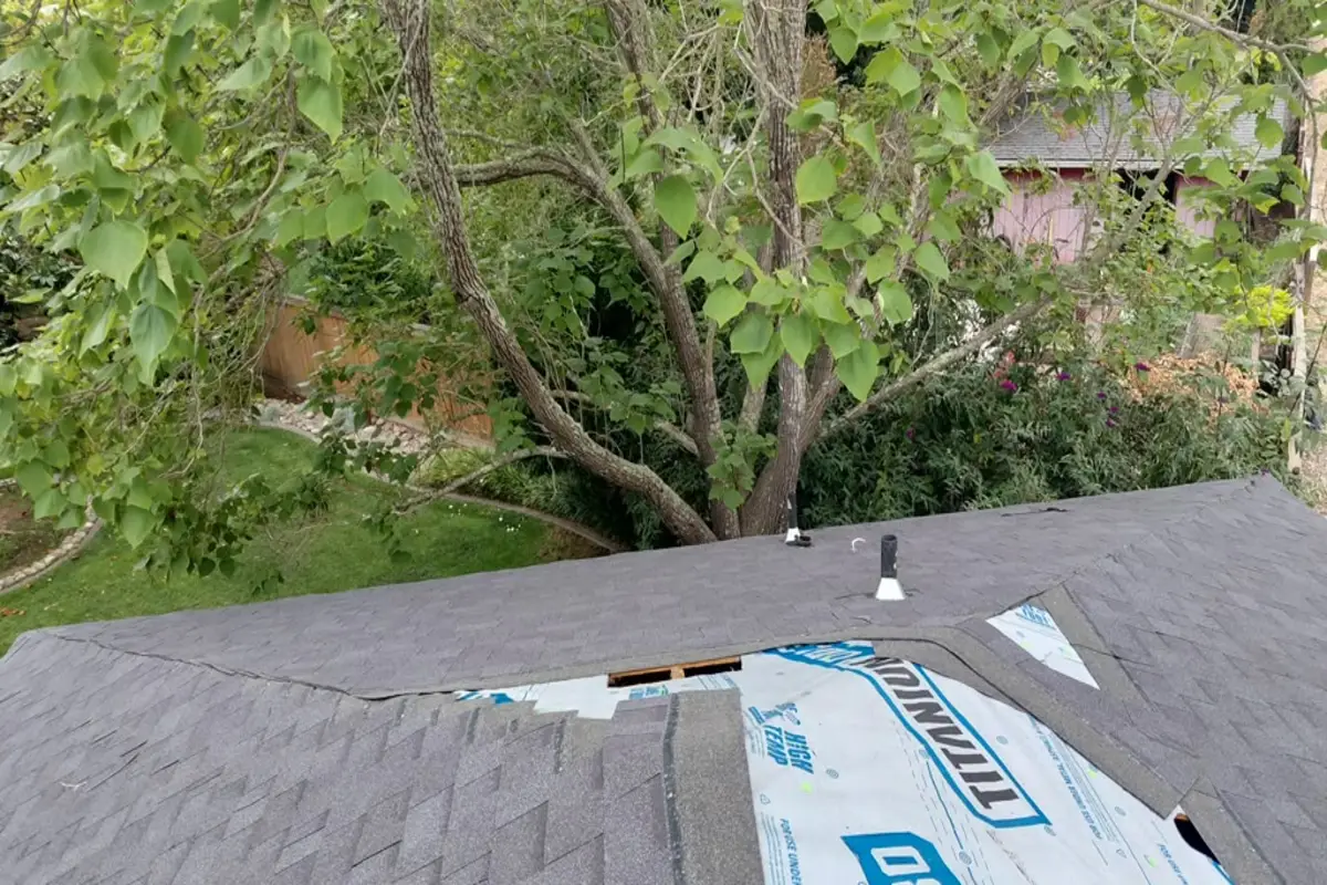 Insurance Cover Roof Damage