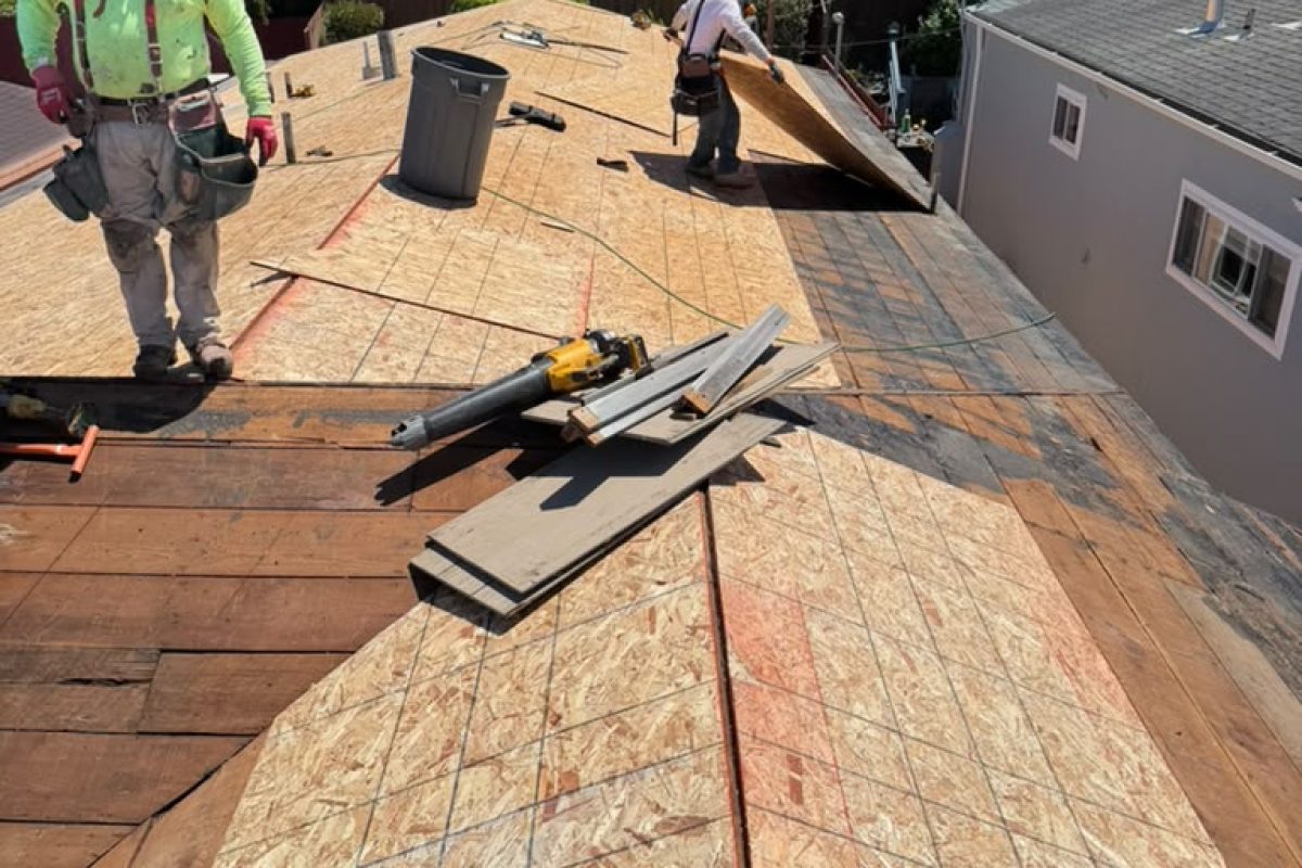 Roof Replacement